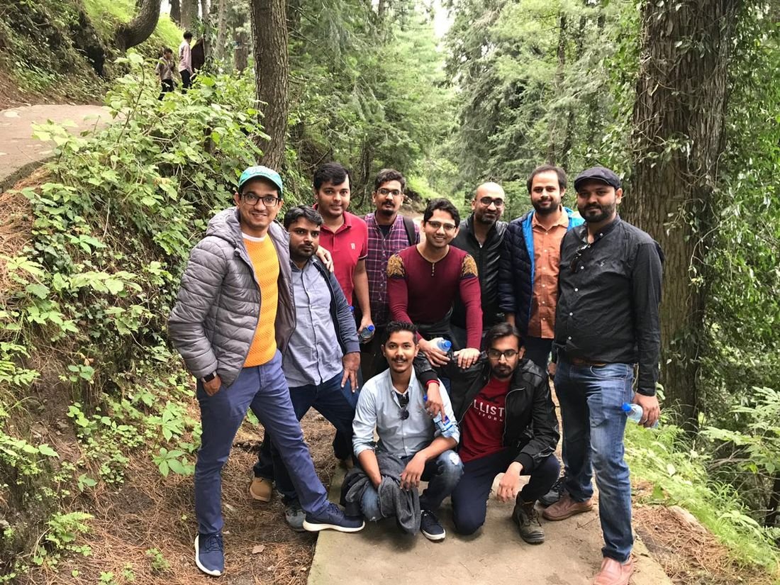On the forest trail